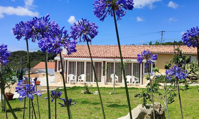 Alcobaca Villa | Kyrios Family villa; luxurious villa + private pool, outdoor BBQ and big garden.