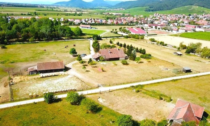 Dambach-la-Ville House | L'Etoile du Vignoble - At the heart of an Alsatian ranch on the Route des Vins!