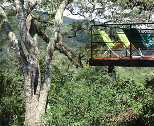 Raco House | LA AGÜITA PERDIDA