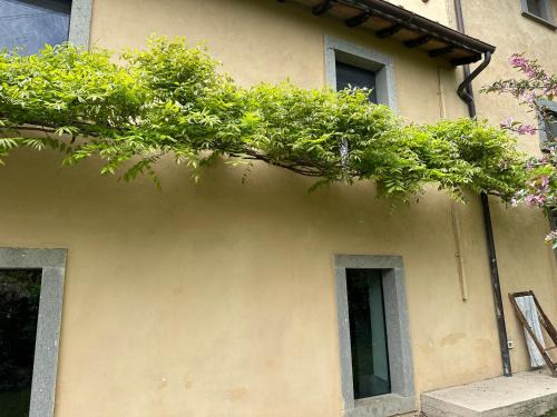 Montefiascone House | La casa di Zoe-ARTANDTRAVEL
