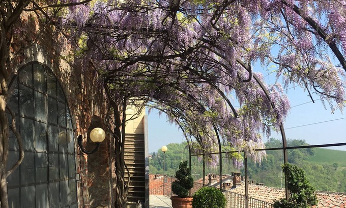 Ozzano Monferrato Bed & Breakfast | La Corte delle 4 Stagioni