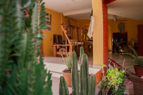 Teotitlan del Valle Bed & Breakfast | La Cupula B&B Teotitlan