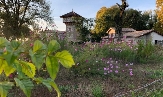 Marmande House | La Dépendance de Bazin
