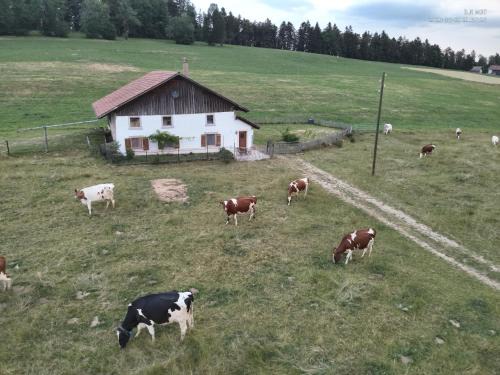 Le Noirmont House | la ferme de la gaby
