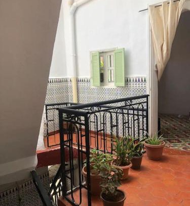 Tlemcen House | La maison des oiseaux