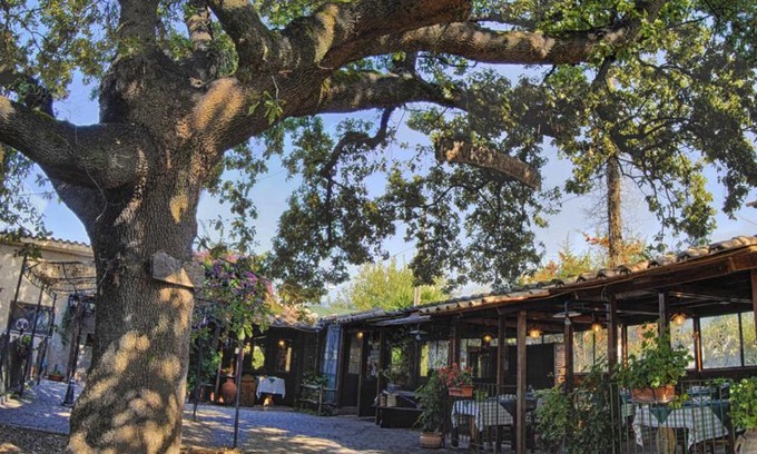 Selci Bed & Breakfast | La Vecchia Quercia