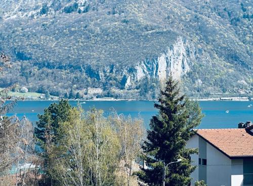 Annecy Apartment | Lac arte postale