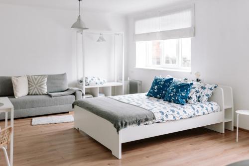 Aluksne Apartment | Lake Aluksne studio apartment