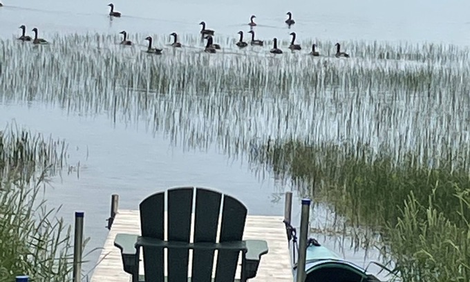 Ellsworth Cabin | Lake front home, and 15 minutes to Arcadia National Park