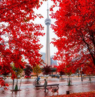 Downtown Toronto Apartment | Lakeview Luxury Suites - Excellent Location - Complementary Parking