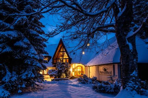 Hinterzarten Apartment | Landhaus Amselhof Hinterzarten