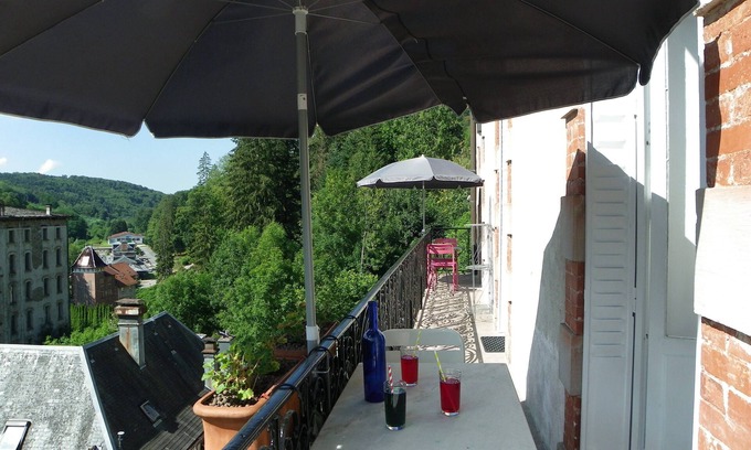 Plombieres-les-Bains Apartment | Large apartment with view in 1900 villa