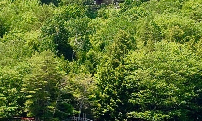 Wiscasset House | Large beautiful waterfront estate , very private in historic Wiscasset Maine