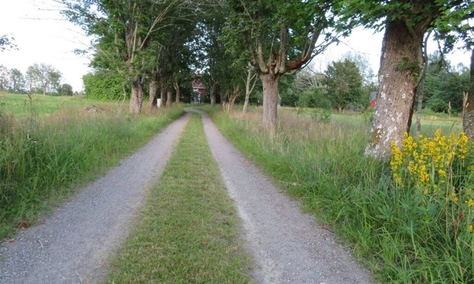 Lonashult House | Large Lake House with Boat at Lake Asnen Fast Fiber Internet 3 Bedrooms Pets OK