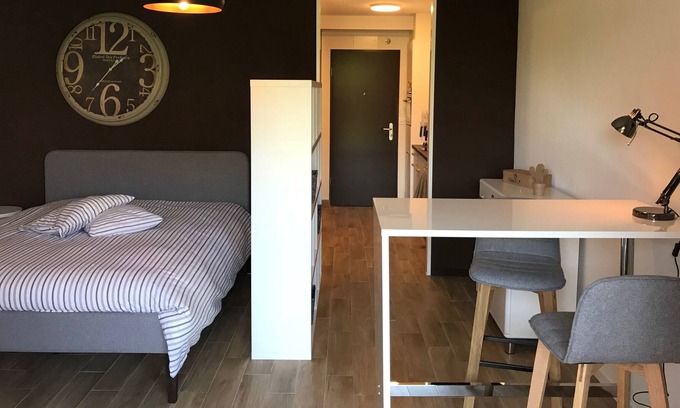 Ecublens Apartment | Large Studio Near Epfl And Lausanne City Center