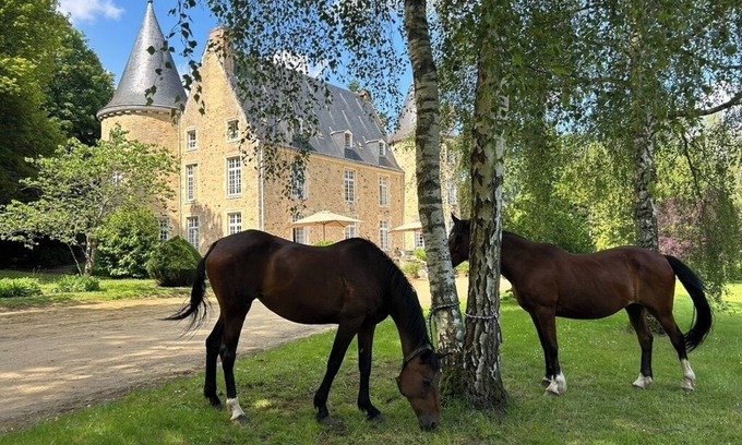 Yvre-l'Eveque Other | Le Château de Vaux, un Endroit Calme et Reposant