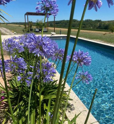 Clermont-Pouyguilles Villa | Le clos du Broca