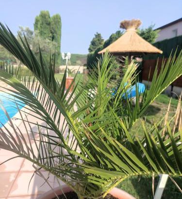 Aramon House | Le gite de lOlivier en Provence