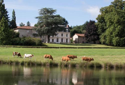 Royeres Bed & Breakfast | Le Masbareau, Chambre et Table d'Hôtes de Charme, B&B