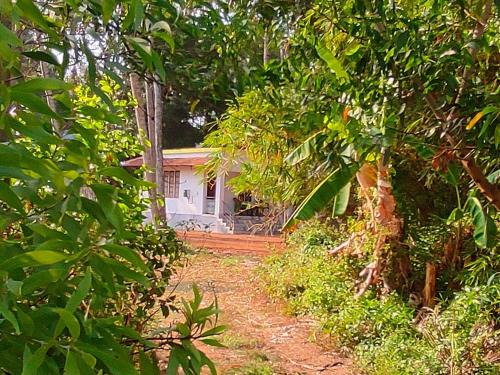 Munroe Island House | Le Moon