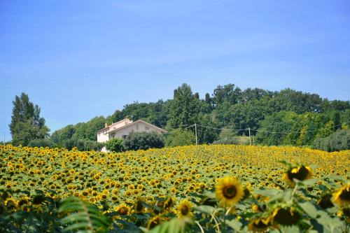 Cupramontana Bed & Breakfast | LE PIUME B&B