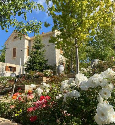 Bhamdoun Bed & Breakfast | Le Télégraphe de Belle-Vue
