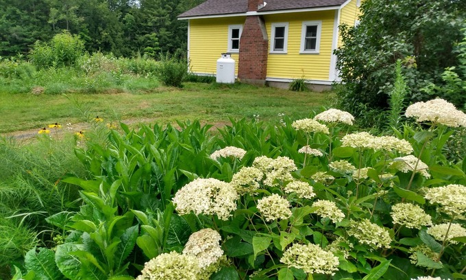 Peterborough Cottage | Lemon Drop Cottage a private cottage getaway