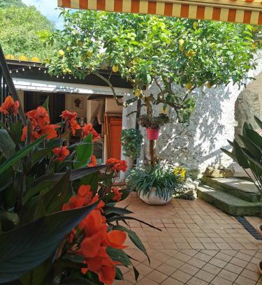 Feglino House | "Lemon Tree House" with garage for MTB