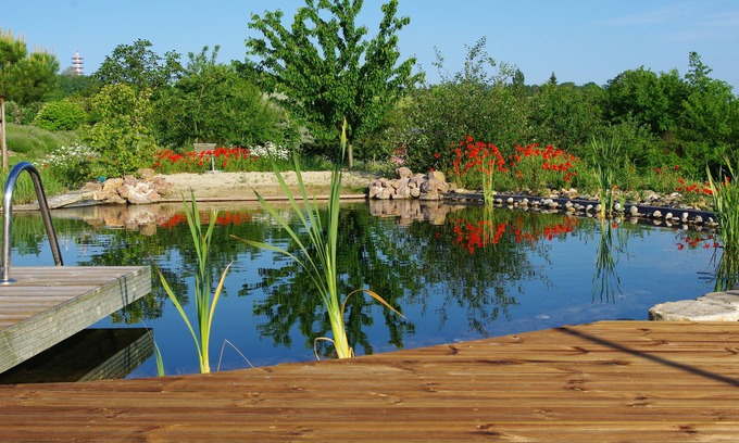 Saint-Leon Cottage | Les bleuets and its natural pool