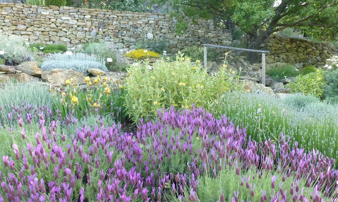 Simiane-la-Rotonde House | Les Jardins de L'abbaye