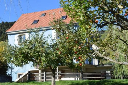 Sondernach Apartment | Les Locations de Stéphanie ,Gite Le Verger