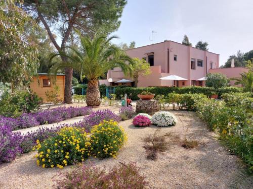 Lido di Capoliveri Apartment | Lido I Palmizi