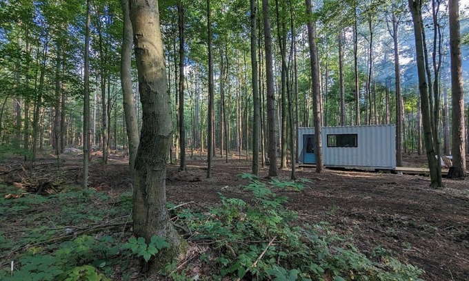 Langton Cabin | Little Can in the Pines - Bunkie No. 2