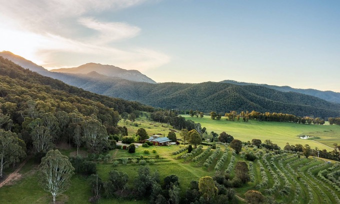 Porepunkah Cabin | Little Olive Cabin - Nestled into the foot of Mount Buffalo and central to the most popular tourist attractions in the North East of Victoria. Lovers of quirky eclectic style will bask in the retro and vintage vibes of The Little Olive Cabin.