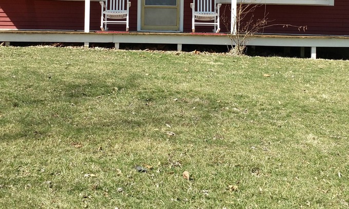 Ipava Cabin | Little Red cabin by The Spoon River
