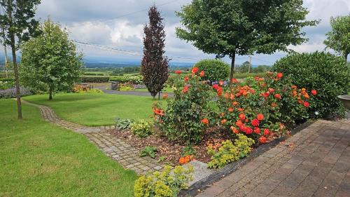 Ballymoney Bed & Breakfast | Little Rock