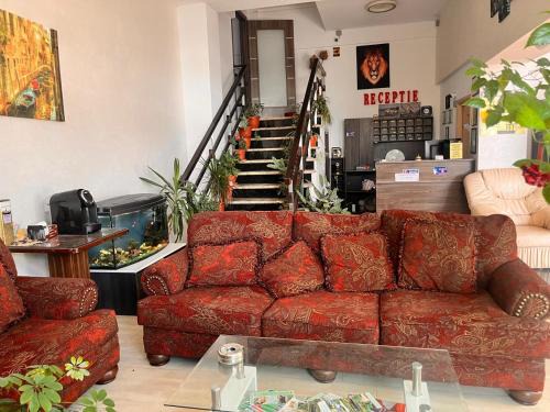 Tulcea Hotel | Live Tulcea Hotel