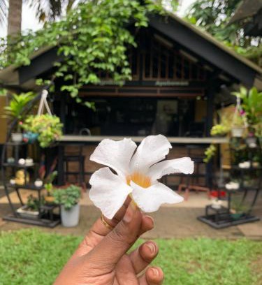 Katana House | Living with Lankan's Homestay