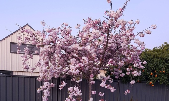 Hastings Bed & Breakfast | Liz on Lowry In Frimley Hastings