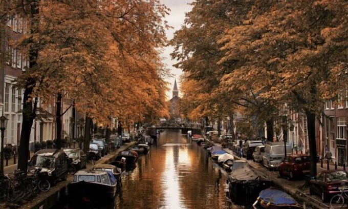 Willemspark Bed & Breakfast | Located in one of the most popular areas of Amsterdam, Oud West