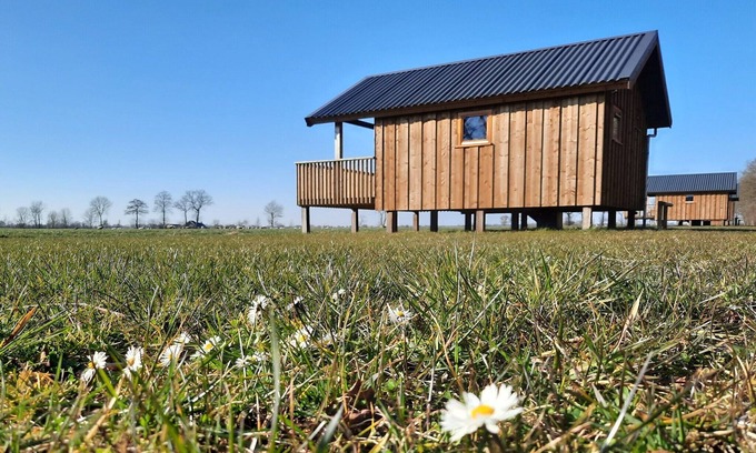 Ruinerwold House | Lodge in Drenthe with Scenic Veranda