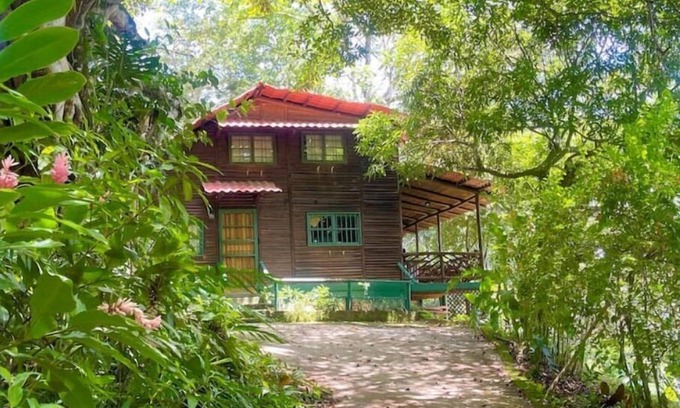 Desamparaditos Cabin | Log cabin. Wooden soul dressed in jungle pet friendly