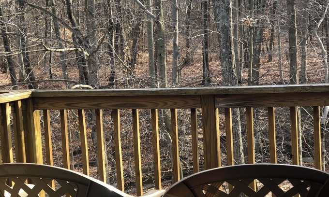 Sciota House | Log Style Villa Great Location JACUZZI! Pool usage 40 yrs. Exp. in vaca rentals.