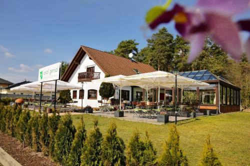 Beelitz House | Lokal Genial Pension & Restaurant