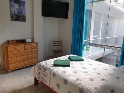 Tingo Maria House | los pintores