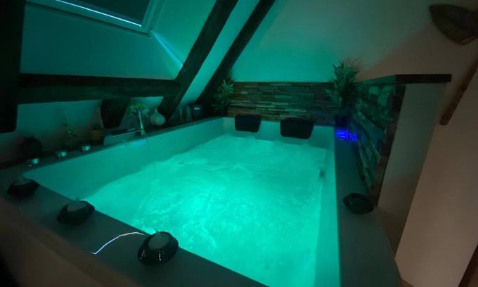 Bourges Apartment | Love Room with Jacuzzi in the city center