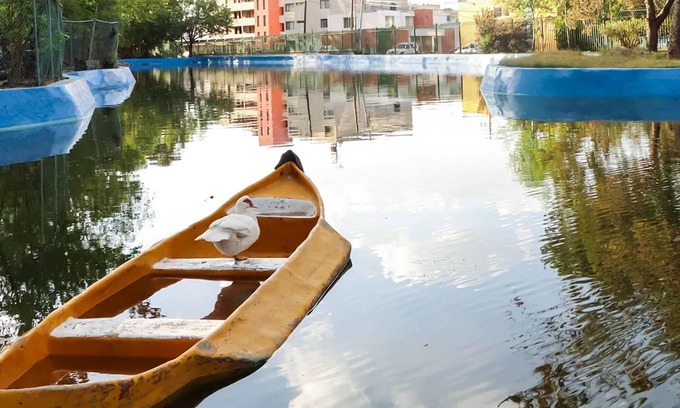 San Luis Potosi Apartment | Lovely and spacious apartment next to the Park