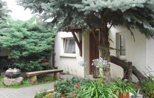 Langengrassau House | Lovely Home In Heideblick With Kitchen
