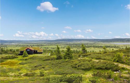 Oyer House | Lovely Home In Sjusjøen With Kitchen