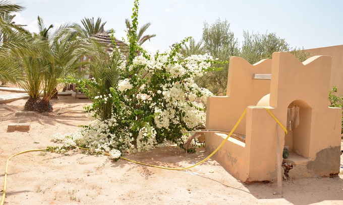 Mellita House | Luxurious riad